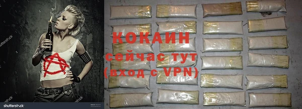 крисы Мегион