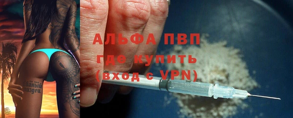 индика Приозерск