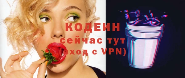 крисы Мегион