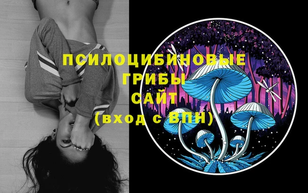 винт Заполярный