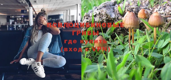 соль курить ск Ивангород