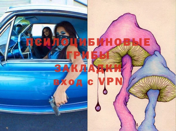 винт Заполярный