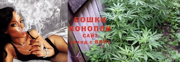 винт Заполярный