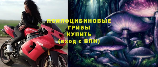 ALPHA-PVP Медногорск