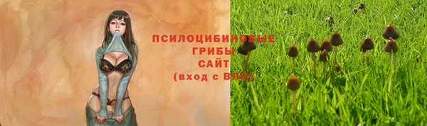 крисы Мегион