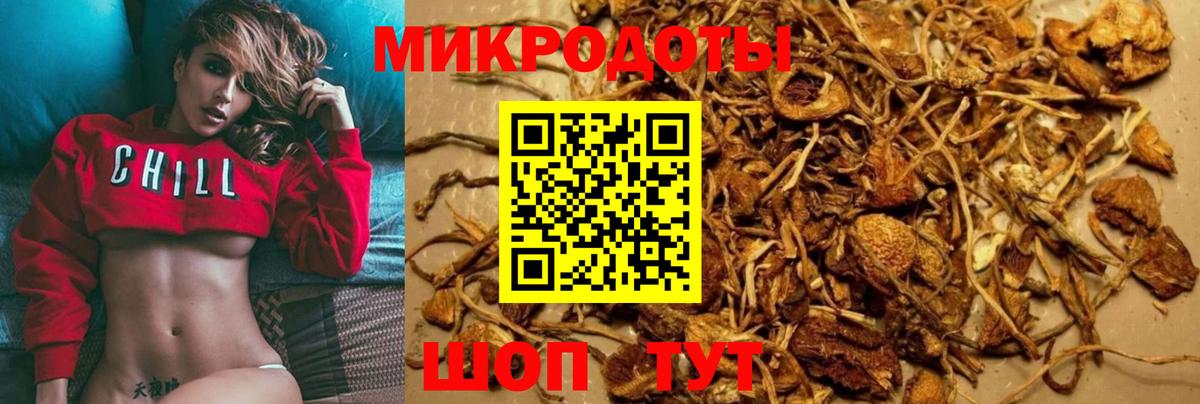 Псилоцибиновые грибы GOLDEN TEACHER Луховицы